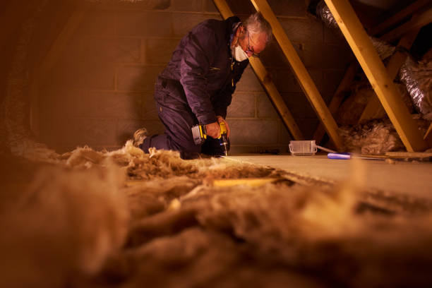 Best Batt and Roll Insulation  in Twin Rivers, NJ